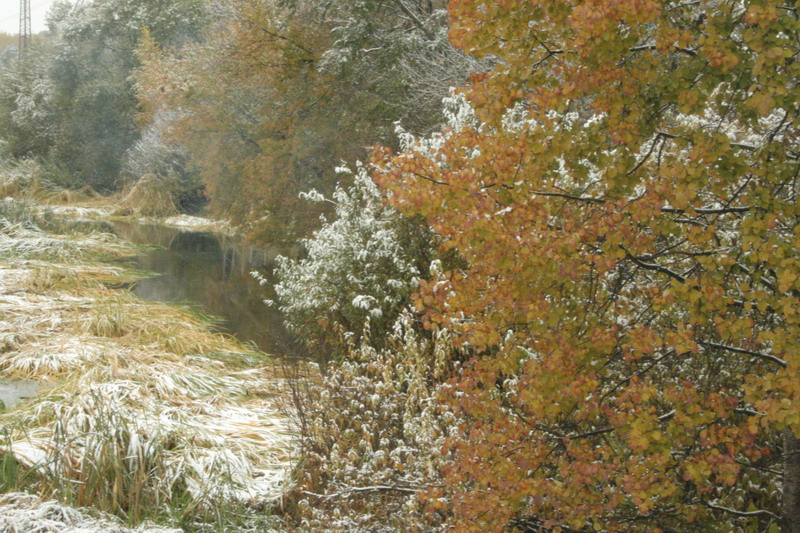 IMG_0800.jpg1.jpg"%20height="533"%20width="800